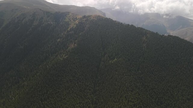 4K 10-bit drone pull-back shot flying backward to reveal a dense green pine forest blanket covering the mountains in Gumushane, Turkey