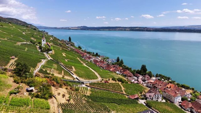 Ligerz, Lake Biel, Biel-Bienne District, Bern, Switzerland, revealing terraced vineyards, St. Peter Church, the lakeside village and the Swiss wine region, drone orbit. In summer time.