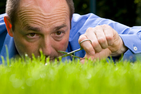 Germany, Baden-W�rttemberg, Stuttgart, Man cutting grass with scissors