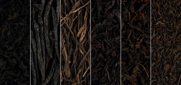 Different types of loose tea leaves showing diverse textures and colors arranged in a row