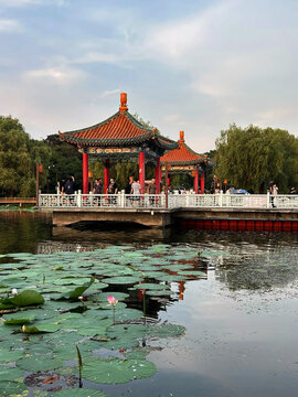 Changchun, China - 03 August 2026: View of the traditional Chinese pavilion at Nanhu Park surrounded by lush lotus leaves on the water and willow trees with people walking on the bridge.