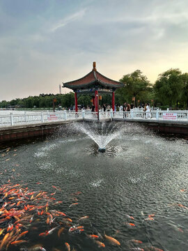 Changchun, Jilin, China - 03 August 2026: View of a traditional Chinese pavilion and fountain in Nanhu Park, with koi fish in the pond and people on the bridge at dusk.