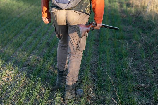 A hunter with a gun in camouflage clothing. A gentleman with a gun, medium shot, unrecognizable.