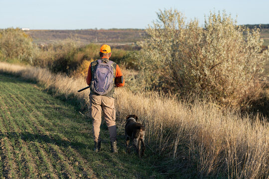 A hunter with a gun in camouflage clothing. A gentleman with a gun, medium shot, unrecognizable.