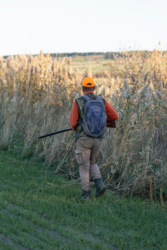 A hunter with a gun in camouflage clothing. A gentleman with a gun, medium shot, unrecognizable.