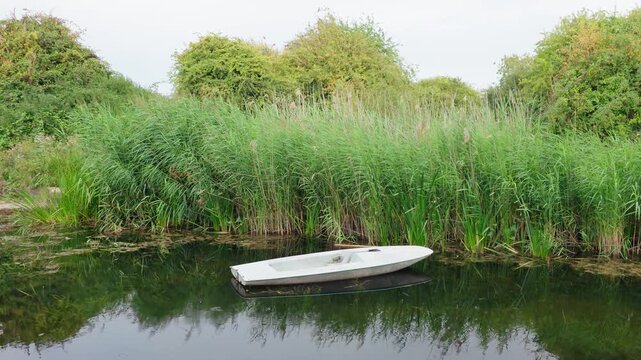 Abandoned old rowboat floating on calm canal water beside dense green reeds. Weathered small boat in quiet overgrown wetland. Forgotten vessel and rural waterside decay concept
