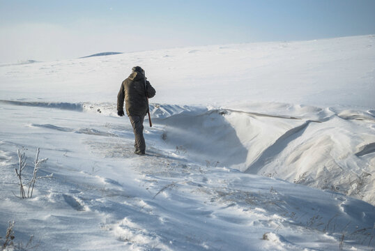 A hunter with a shotgun on his back walks along the edge of a deep snow-covered ravine on a winter day.