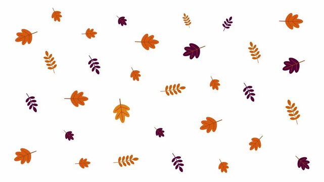 Autumn Leaves Falling Seamless Loop Motion Background