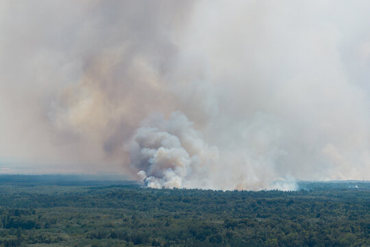 Sumarak, Serbia - 08 August 2026: Aerial view of a forest fire in Deliblatska Pescara with thick smoke billowing over the wooded landscape.