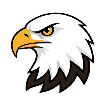 eagle head vector illustration