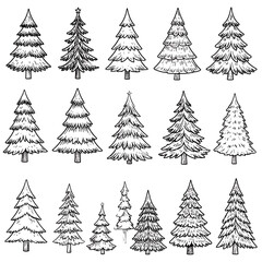 Obraz premium Collection of hand-drawn fir trees, evergreen foliage, pine trees, holiday icons, seasonal elements, forest motifs