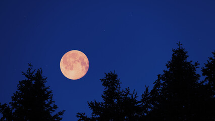 Full Moon, stars and planets above landscape silhouettes. © astrosystem