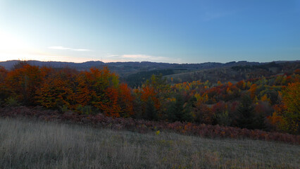 Naklejka premium Autumn colored trees and countryside landscape scenery.