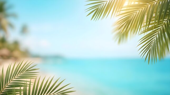 Tropical palm leaves against a soft blue sky background