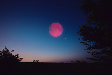 Lunar eclipse, stars and planets above landscape silhouettes. © astrosystem