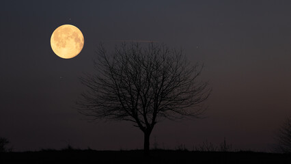 Full Moon, stars and planets above landscape silhouettes. © astrosystem