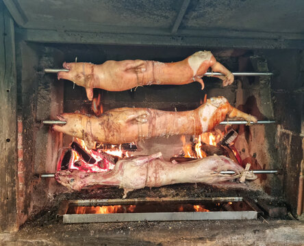 Whole pigs and a lamb roasting on metal spits over a hot wood fire inside a traditional large stone masonry fireplace oven.