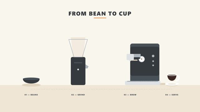 Animated 2D flat explainer showing the coffee preparation process from coffee beans to grinder, espresso machine, and finished cup.