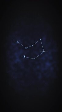 Canis Major Constellation Forming in Deep Space 4K Animation Vertical