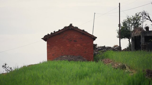 Small red mud brick house with stone weighted roof standing alone atop lush green hillside under overcast sky in remote Himalayan countryside