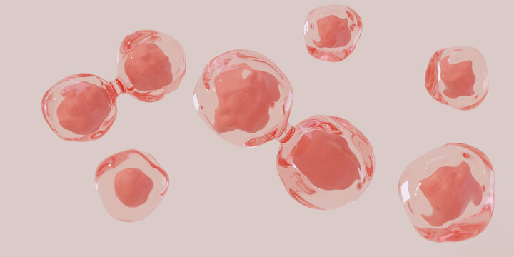 Cell division, cellular division, human cell. Medical and science concept background.
