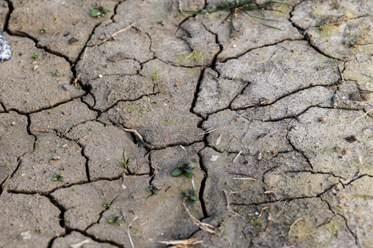 terreno bruno, arido e fortemente screpolato a causa della siccit&agrave; e della mancanza d'acqua, con qualche piccolo ciuffo di vegetazione rada che tenta di sopravvivere