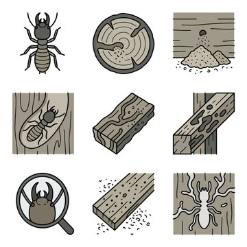 Termite infestation and damaged wood icon set.