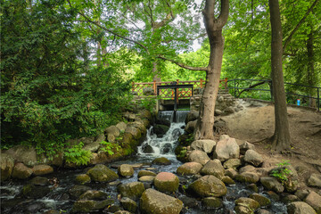 Scenic view of a stream and small waterfall in Oliwa Park, Gdańsk, Poland, surrounded by lush greenery, trees and rocks. © Kamil