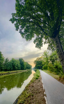 Rijkevorsel, Antwerpse Kempen, Belgium, canopy path alongside canal under tall trees, green leaves forming tunnel and calm mirrored water, smooth paved trail ideal