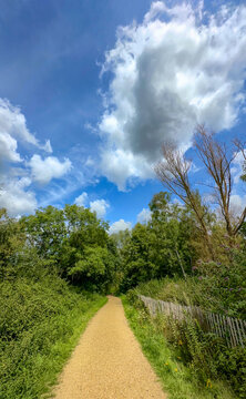 Rijkevorsel, Antwerpse Kempen, Belgium, Gravel path leading into green woods with towering cumulus cloud overhead, dappled light through foliage, sense of adventure