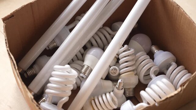 Light Bulb Recycling and Disposal