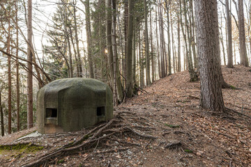 torretta metallica esterna per l'osservazione di vecchio bunker sulle alture di una collina boscosa in Slovenia © PhotoMet