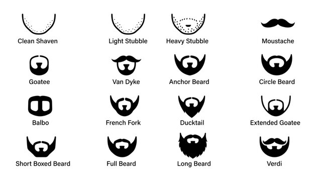 Facial hair styles chart vector set with moustache beard and stubble types