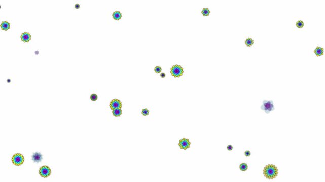 Colorful mandala flower graphics floating gently across a white background in a subtle abstract 3D animation motion loop