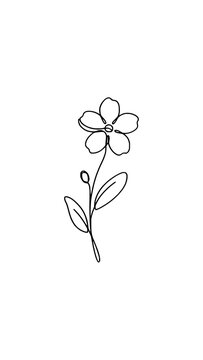 Minimalist continuous line art drawing of a single flower with stem and leaves on transparent background