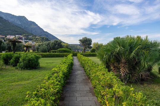 Lush garden pathway leading through the garden, in outdoor garden scene with mountains in the background, with pathway, hedges, trees, mountains, with green, blue accents.