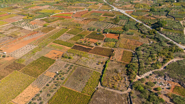 Ancient agricultural landscape of Starogradsko Polje preserves traditional stone walls, olive groves and vineyards. UNESCO heritage site reflects centuries of Mediterranean farming on Hvar Island.