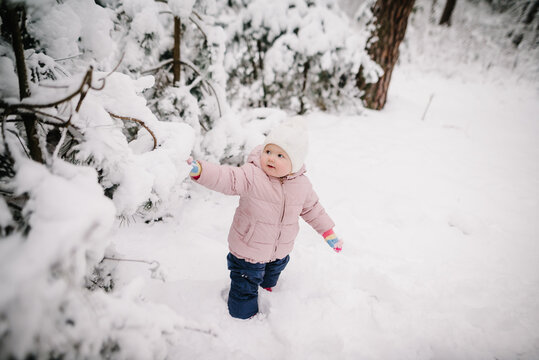 Little baby touching snowy pine tree in winter forest. Toddler in pink jacket exploring nature, walking in deep snow. Happy childhood emotions, winter adventures and active leisure. Closeup.