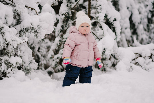 Toddler in pink jacket looking at surrounding snowy pine trees. Winter adventures, childhood curiosity and active leisure. Little baby standing in deep snow in middle of winter forest.