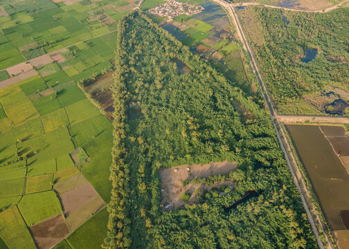 Aerial view of the lush green landscape of Rana Resort Safari Park featuring dense trees, small ponds, and surrounding agricultural fields in Phool Nagar, Punjab, Pakistan.