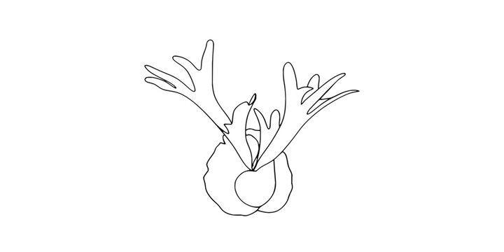 Simple minimalist line art drawing of animal antlers and horn silhouette