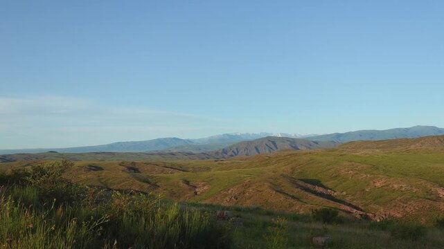 Rolling Grassland and Sainfoin (Onobrychis viciifolia) Beneath a Mountain Ridge in June

