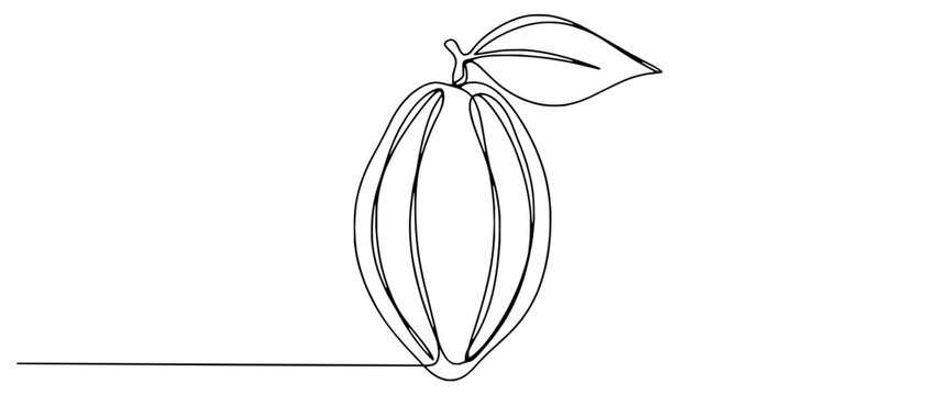 Minimalist single line drawing of a fruit with a leaf isolated on transparent background