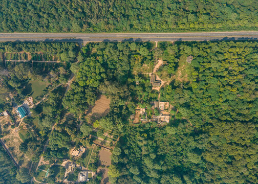 Aerial view of the dense Changa Manga forest with scattered buildings, agricultural plots, and a road running through the lush greenery in Changa Manga, Punjab, Pakistan.