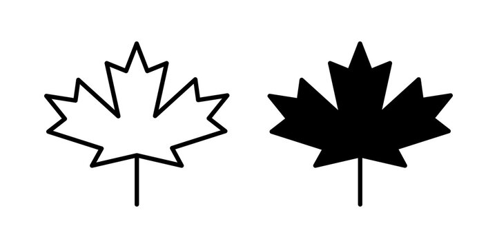 Maple leaf icon minimal graphics series. EPS10