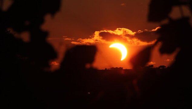 Solar eclipse trough trees with clouds