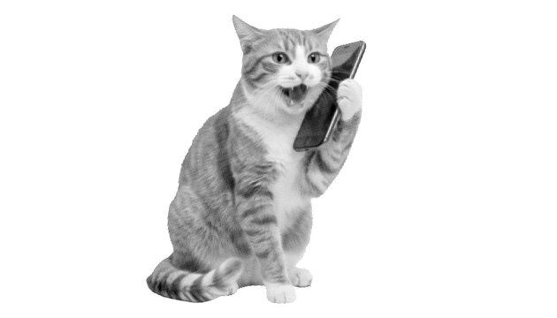 Set of Three Funny Cats Talking on a Smartphone in Color, Grayscale, and Halftone Styles