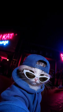 Cool cat wearing streetwear hoodie cap and sunglasses taking a selfie in a neon lit street