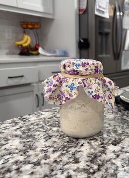 Baker weighing, feeding, discarding active sourdough starter in glass mason jars on a granite kitchen counter, preparing wild yeast for artisan baking