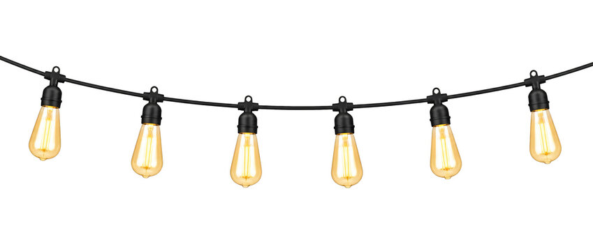 String of edison light bulbs isolated on transparent background